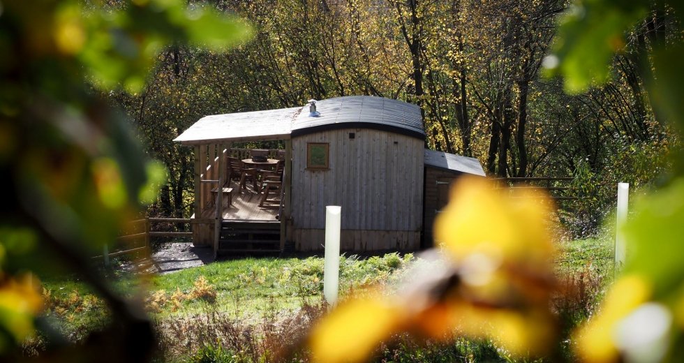 Glamping holidays in Gloucestershire, South West England - Resilient Woodlands Retreat